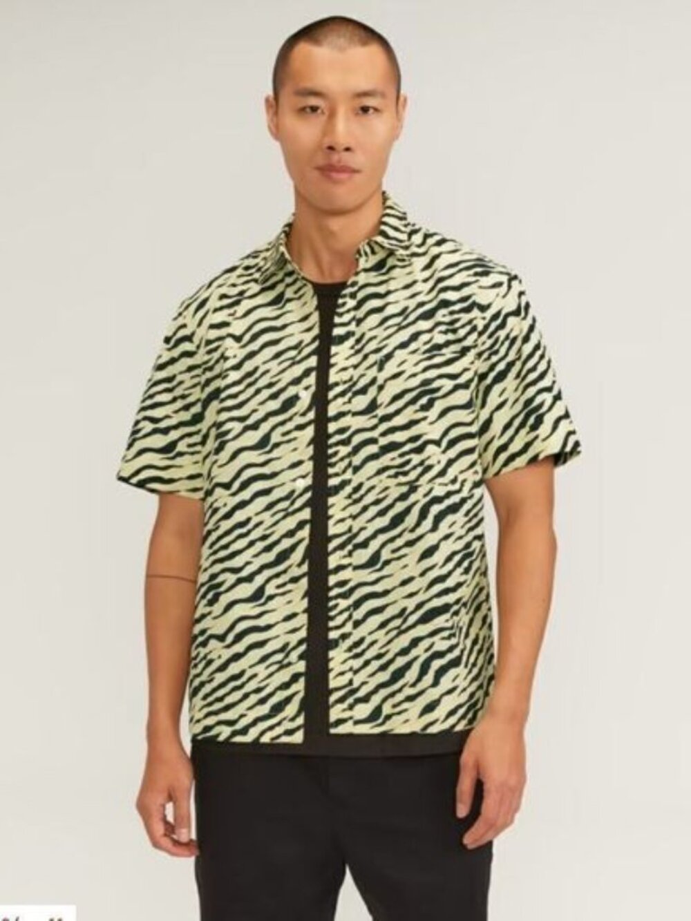 Everlane Men’s The Poplin Short-Sleeve Shirt in tiger print